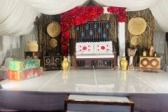 IMG_20231105_190447_821